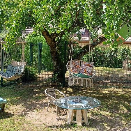 Studio Dans Belle Maison Ancienne Et Jardin Ferme L'Etoile  Exterior foto